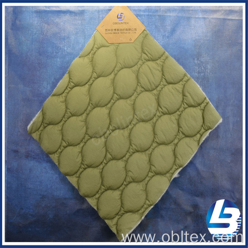 OBL20-Q-049 High Quality Nylon Fabric With Quilting